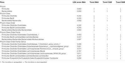 An Integrated Gut Microbiota and Network Pharmacology Study on Fuzi-Lizhong Pill for Treating Diarrhea-Predominant Irritable Bowel Syndrome